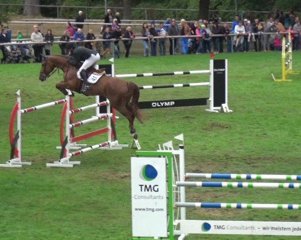 Reitturnier Bietigheim-Bissingen 2018