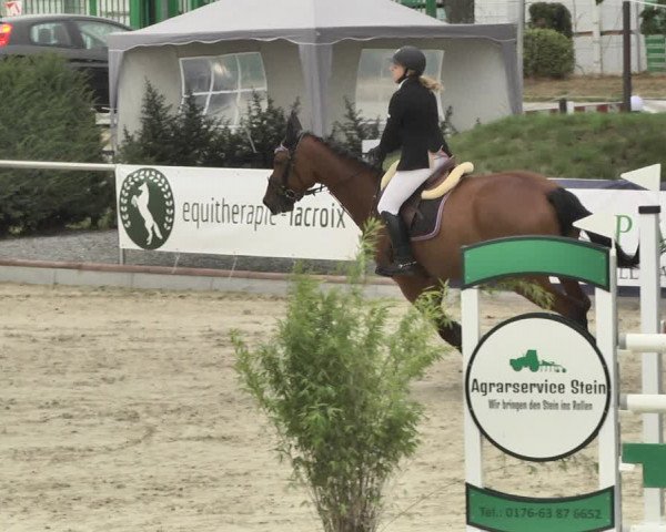 Reitturnier Durmersheim-Hardt 2018