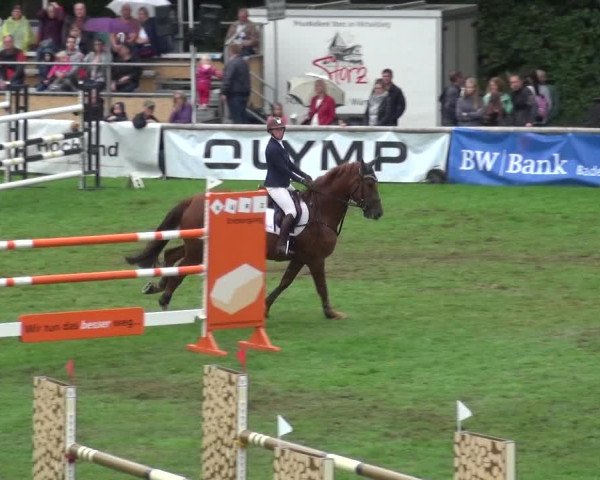 Reitturnier Bietigheim-Bissingen 2018