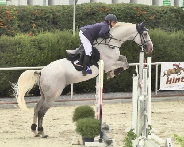 Reitturnier Durmersheim-Hardt 2018