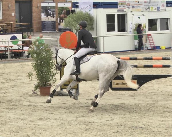 Reitturnier Durmersheim-Hardt 2018