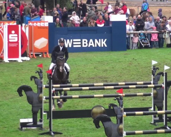 Reitturnier Bietigheim-Bissingen 2018