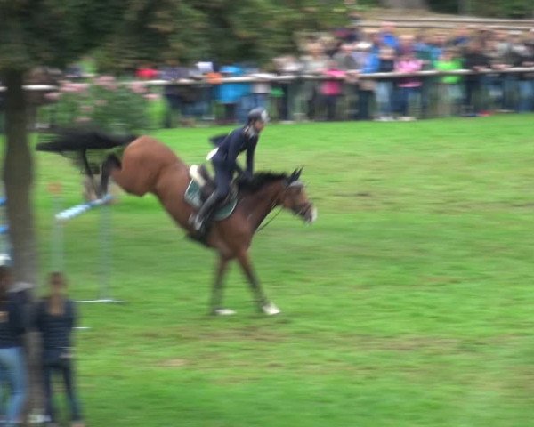Reitturnier Bietigheim-Bissingen 2018