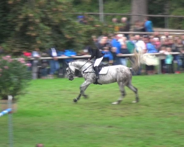 Reitturnier Bietigheim-Bissingen 2018