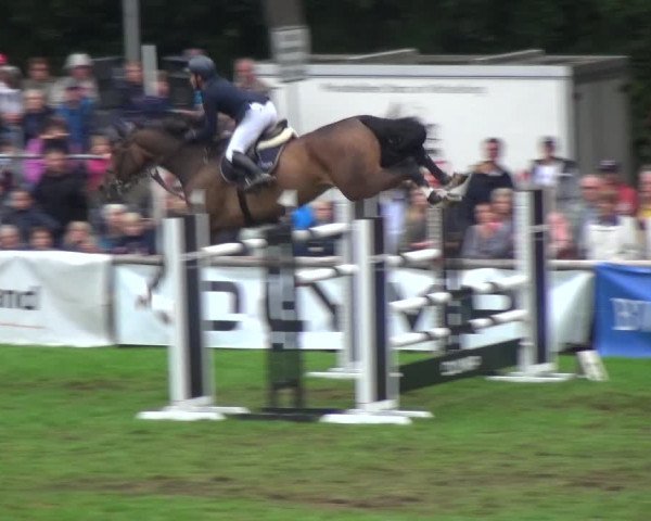 Reitturnier Bietigheim-Bissingen 2018