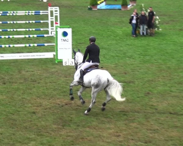 Reitturnier Bietigheim-Bissingen 2018