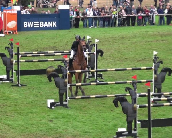 Reitturnier Bietigheim-Bissingen 2018