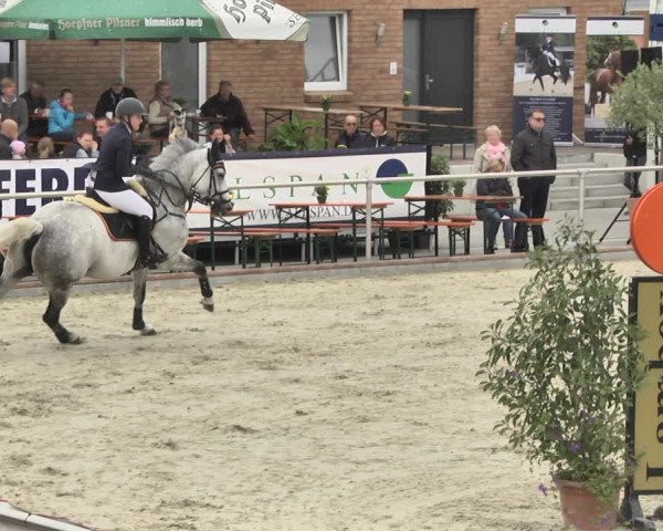 Reitturnier Durmersheim-Hardt 2018