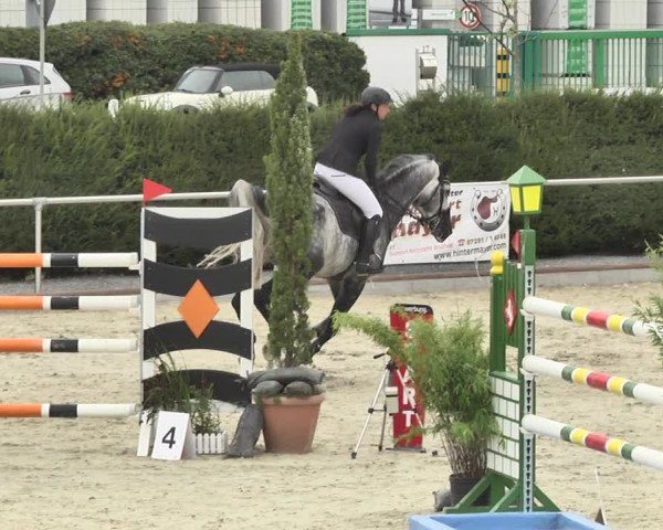 Reitturnier Durmersheim-Hardt 2018