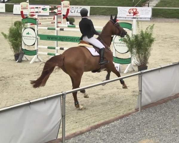 Reitturnier Durmersheim-Hardt 2018