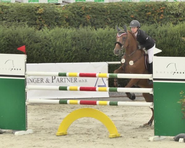 Reitturnier Durmersheim-Hardt 2018