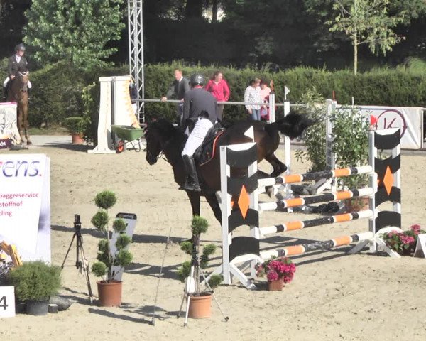 Reitturnier Durmersheim-Hardt 2018
