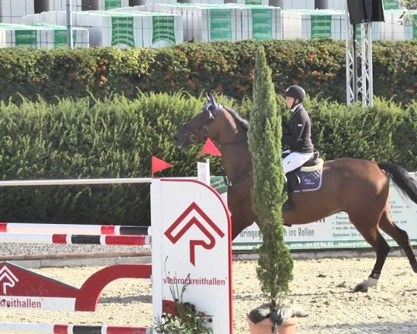 Reitturnier Durmersheim-Hardt 2018