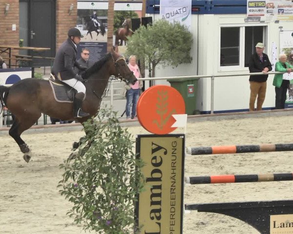 Reitturnier Durmersheim-Hardt 2018
