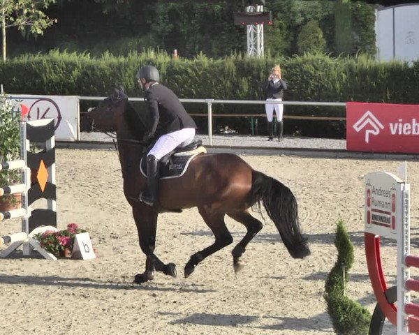 Reitturnier Durmersheim-Hardt 2018