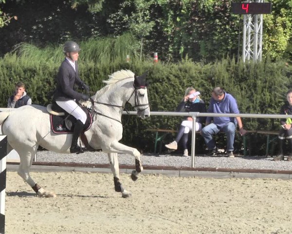 Reitturnier Durmersheim-Hardt 2018