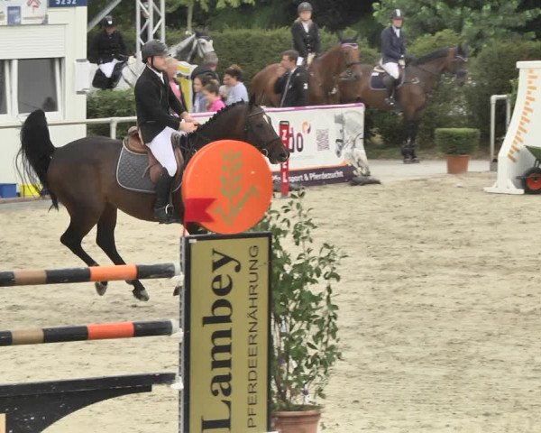 Reitturnier Durmersheim-Hardt 2018