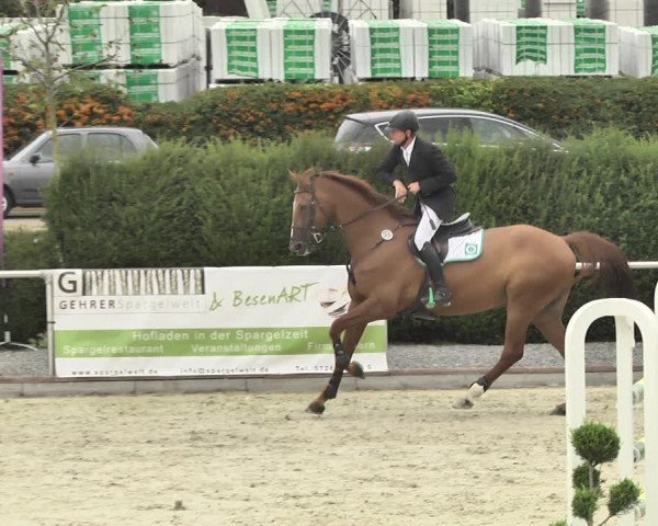 Reitturnier Durmersheim-Hardt 2018