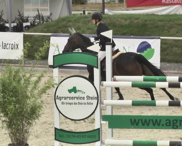 Reitturnier Durmersheim-Hardt 2018