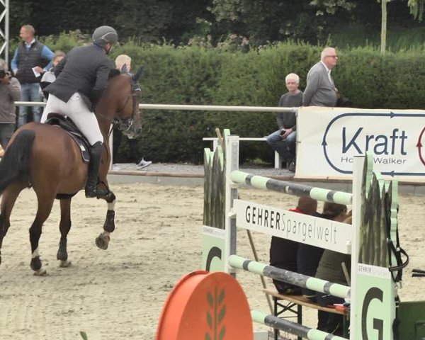 Reitturnier Durmersheim-Hardt 2018