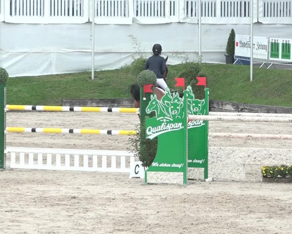 FEI Reitturnier Humlikon (SUI) 2018