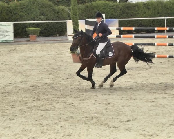 Reitturnier Durmersheim-Hardt 2018