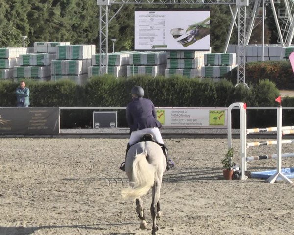 Reitturnier Durmersheim-Hardt 2018