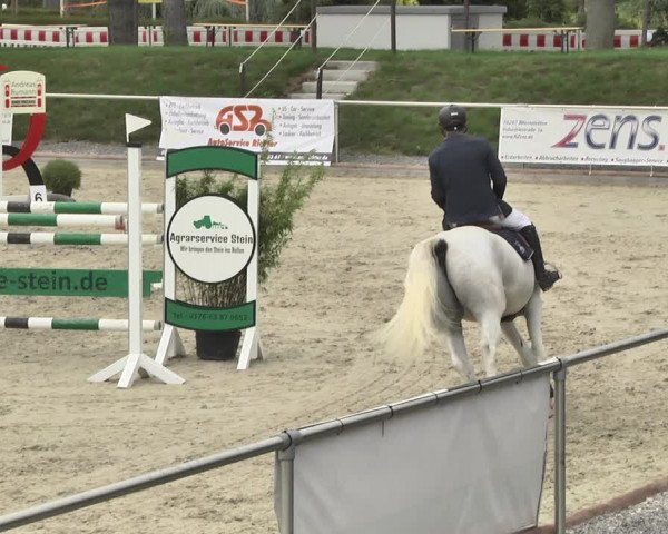 Reitturnier Durmersheim-Hardt 2018
