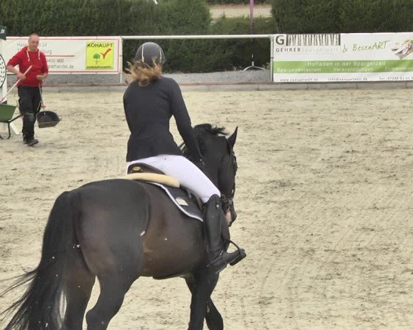 Reitturnier Durmersheim-Hardt 2018