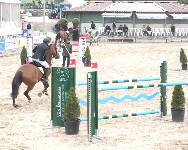 FEI Reitturnier Humlikon (SUI) 2018