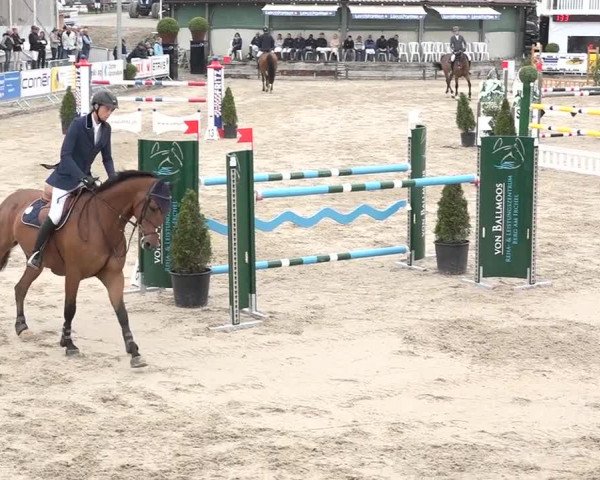 FEI Reitturnier Humlikon (SUI) 2018