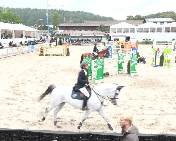 FEI Reitturnier Humlikon (SUI) 2018
