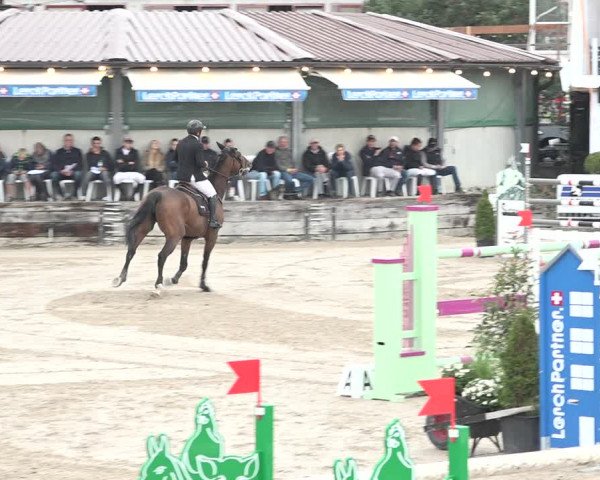 FEI Reitturnier Humlikon (SUI) 2018
