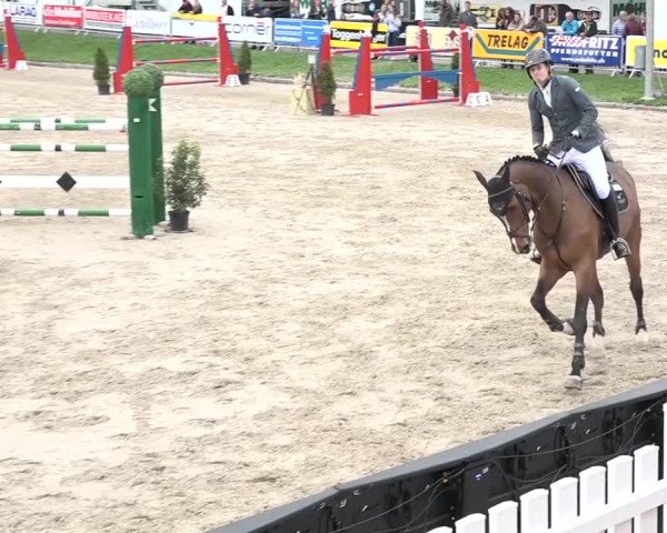 FEI Reitturnier Humlikon (SUI) 2018