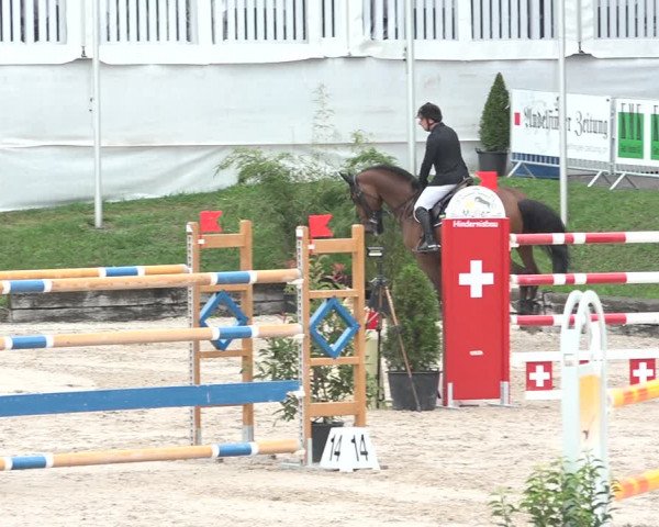 FEI Reitturnier Humlikon (SUI) 2018