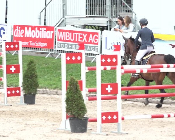 FEI Reitturnier Humlikon (SUI) 2018