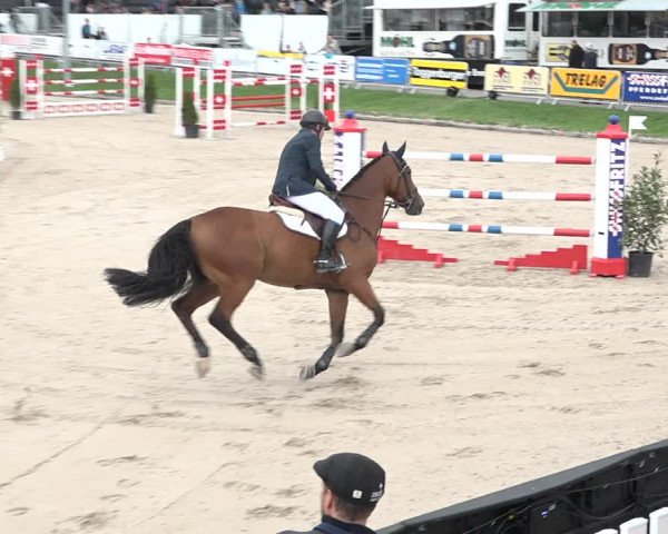 FEI Reitturnier Humlikon (SUI) 2018