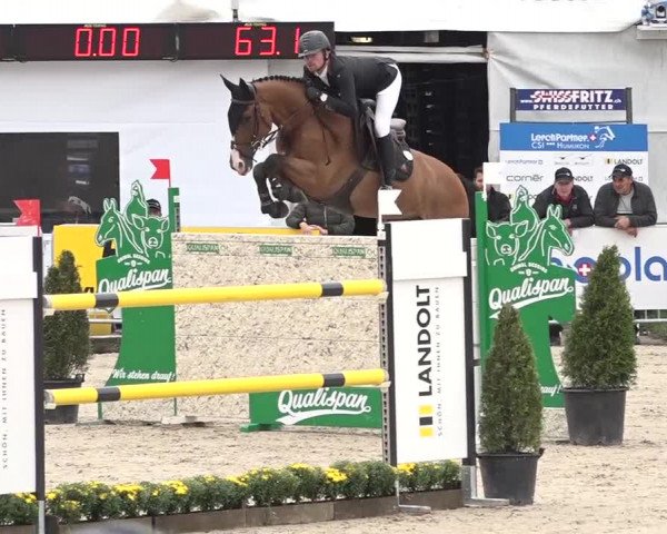 FEI Reitturnier Humlikon (SUI) 2018