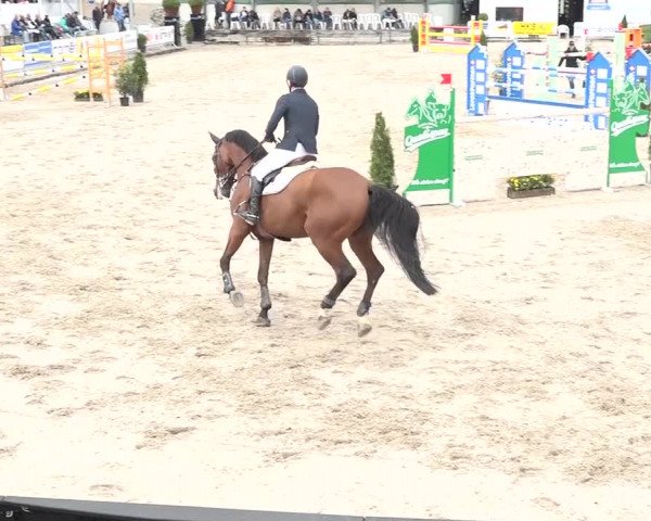 FEI Reitturnier Humlikon (SUI) 2018