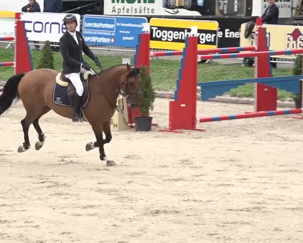 FEI Reitturnier Humlikon (SUI) 2018