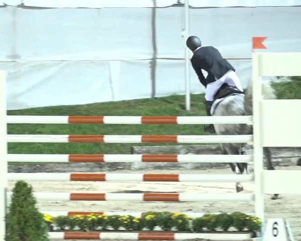 FEI Reitturnier Humlikon (SUI) 2018