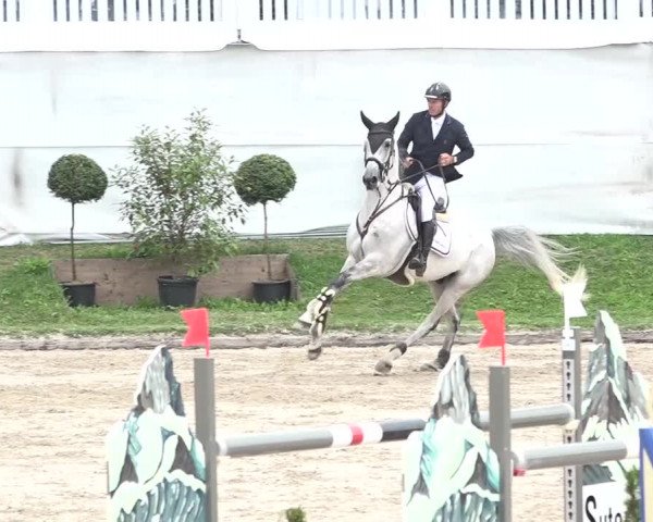 FEI Reitturnier Humlikon (SUI) 2018
