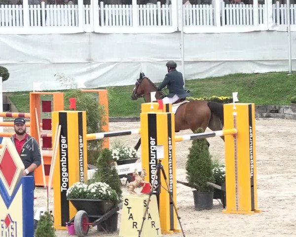 FEI Reitturnier Humlikon (SUI) 2018