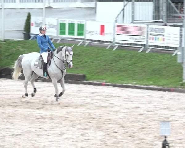 FEI Reitturnier Humlikon (SUI) 2018