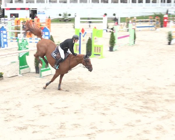 FEI Reitturnier Humlikon (SUI) 2018