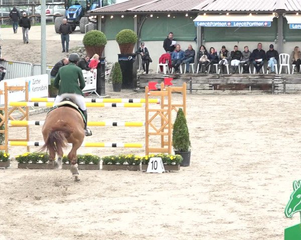 FEI Reitturnier Humlikon (SUI) 2018