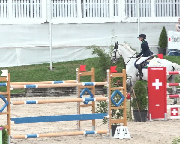 FEI Reitturnier Humlikon (SUI) 2018