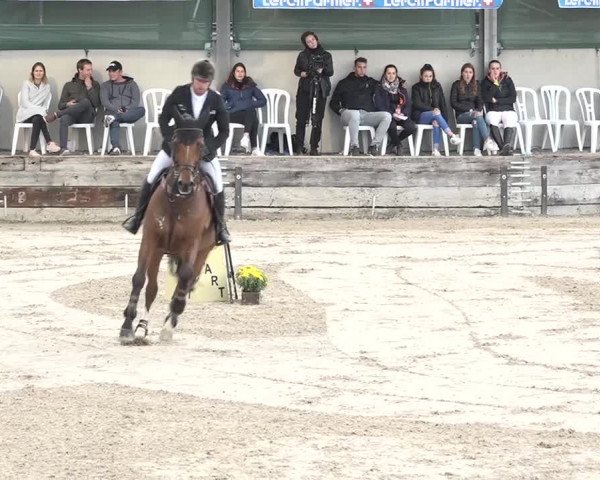 FEI Reitturnier Humlikon (SUI) 2018
