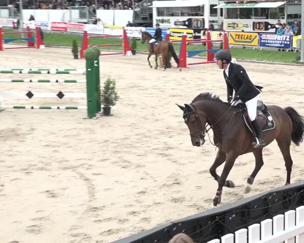 FEI Reitturnier Humlikon (SUI) 2018