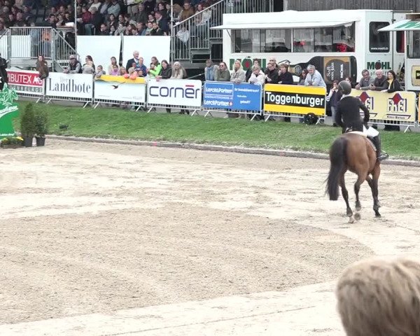 FEI Reitturnier Humlikon (SUI) 2018